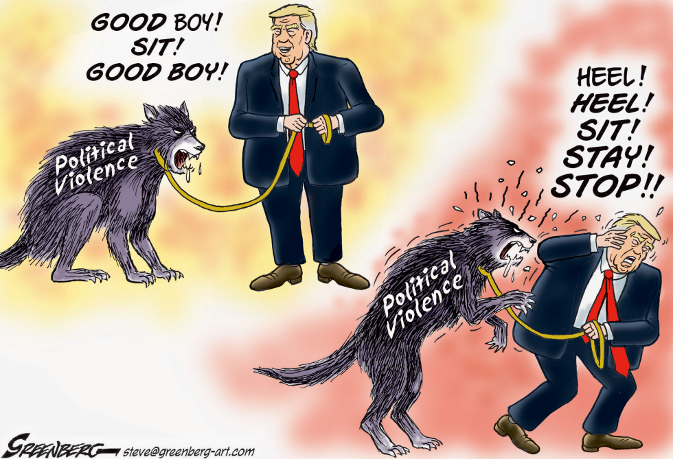 Political Violence and Trump