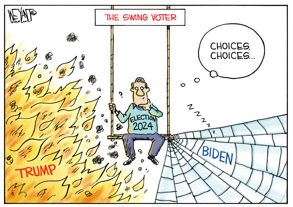 The Swing Voter
