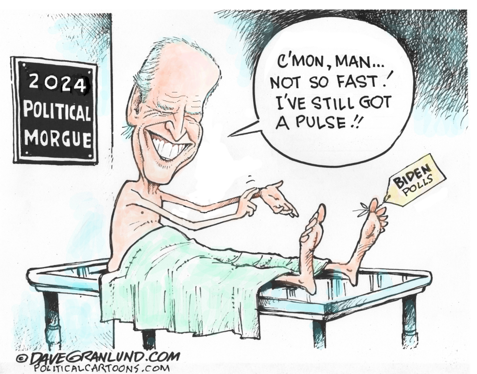 Biden 2024 latest polls