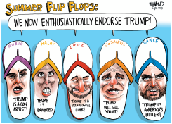 SUMMER FLIP FLOPS by Dave Whamond