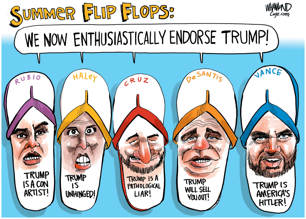 Summer Flip Flops