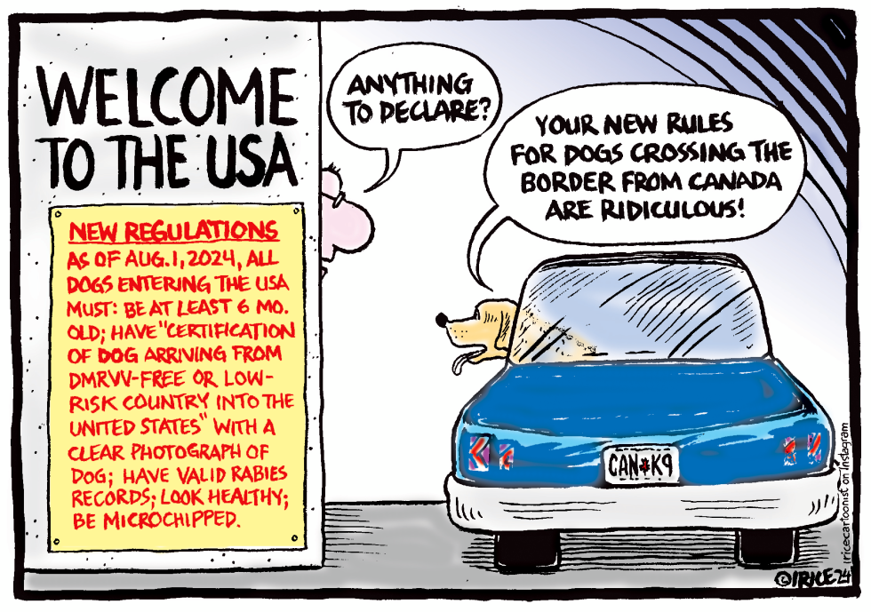 New Dog Entering The USA Rules