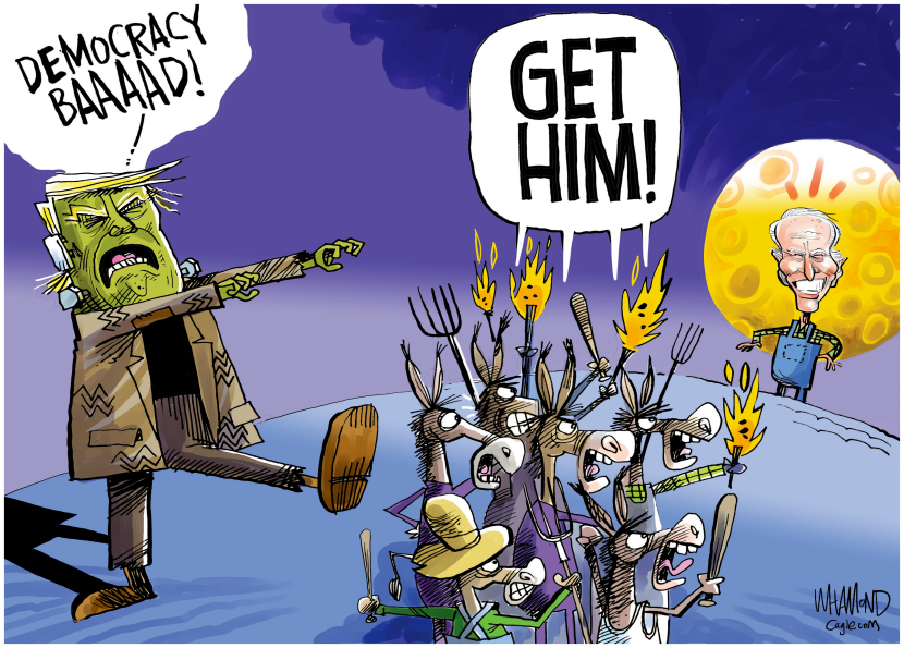 Village Idiots