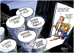 TRUMP NEEDS NEW MATERIAL by Dave Whamond
