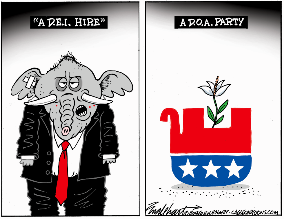 A DEI Hire