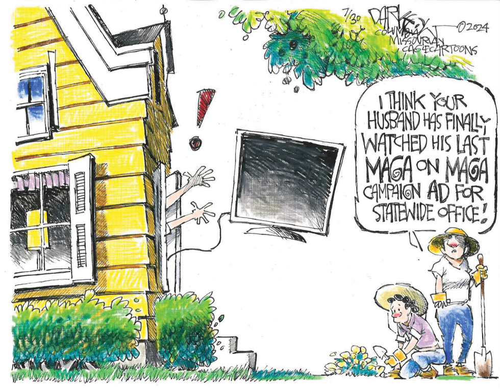 Incessant campaign ads