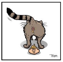 CAT'S POLITICAL POOP by Tayo Fatunla