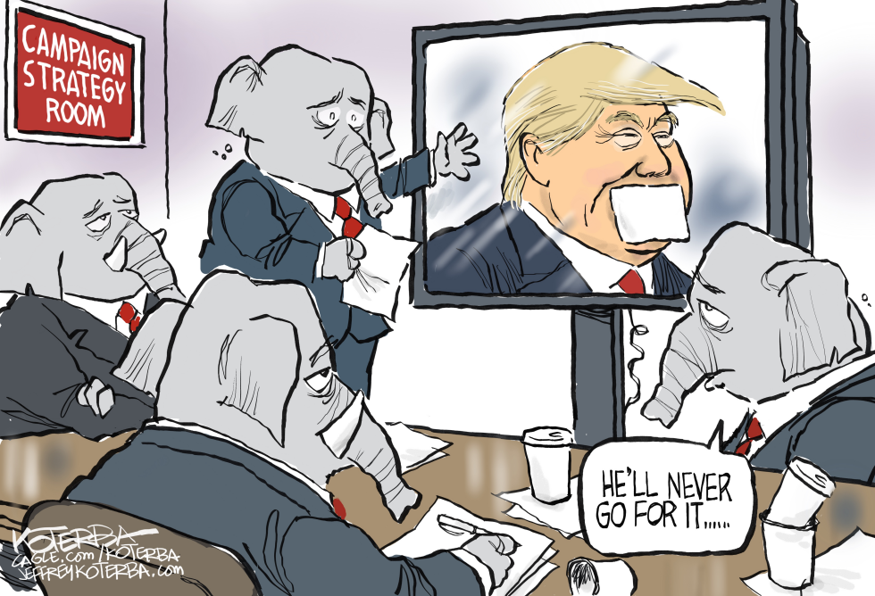 #1 GOP STRATEGY by Jeff Koterba