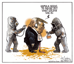 WHAT KAMALA SHOULD DO by Michael de Adder