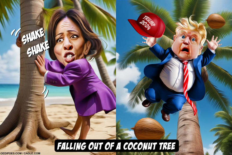 Trump falling out of coconut tree