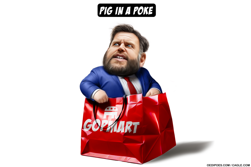 JD Vance ‘wrong pick’