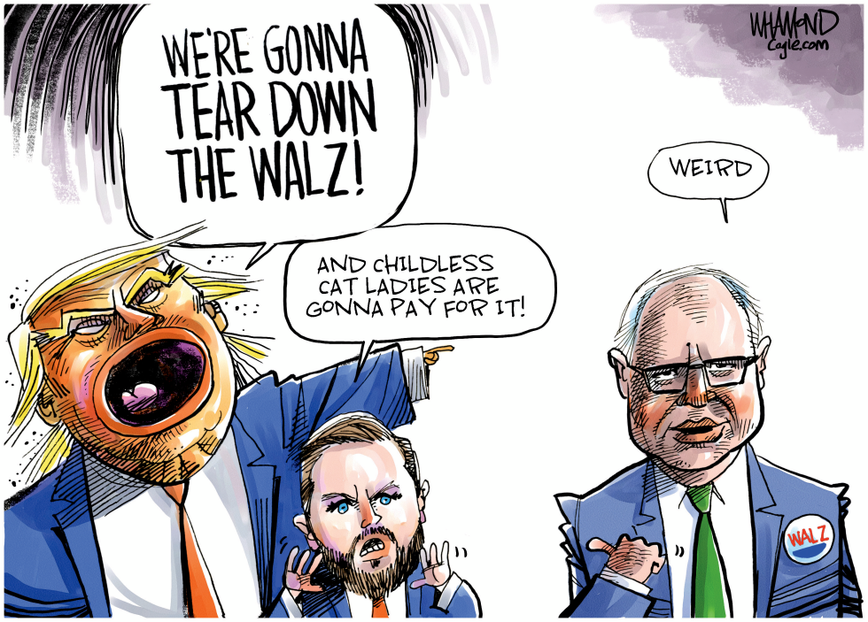 Tear down the Walz