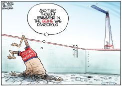 STOCK MARKET TAKES A DIVE by Christopher Weyant