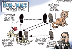 HOW TO WALZ by Joe Heller
