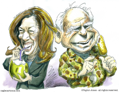 HARRIS AND WALZ by Taylor Jones