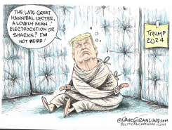 TRUMP NOT WEIRD by Dave Granlund