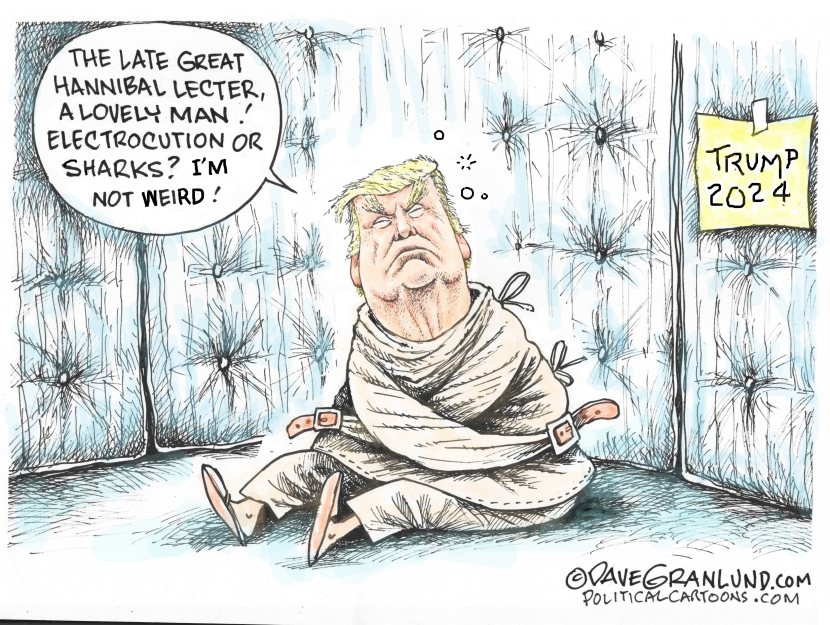 Trump not weird
