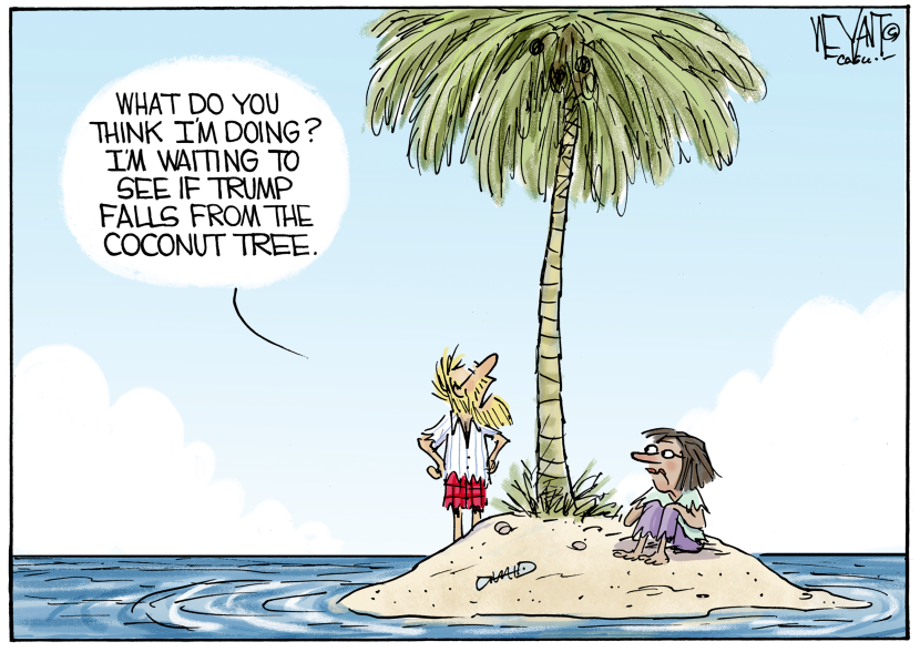 Falling from the Coconut Tree