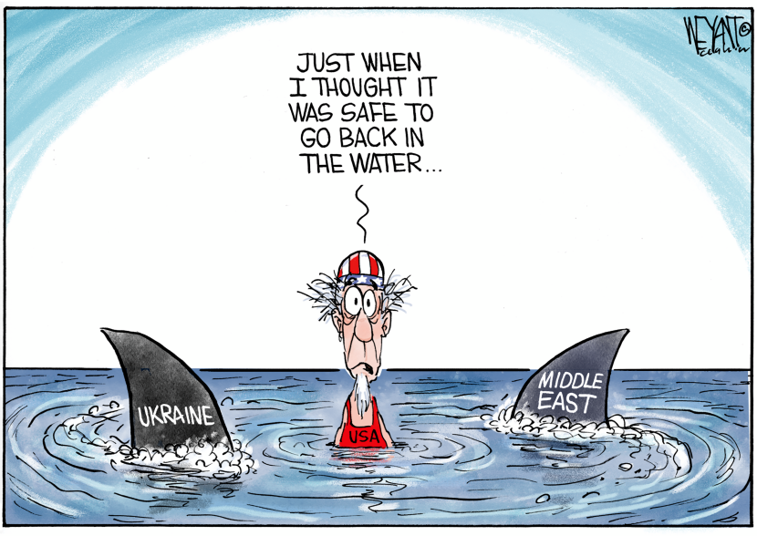 Shark Week Continued
