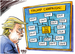 SURROUNDED BY IDIOTS by Dave Whamond