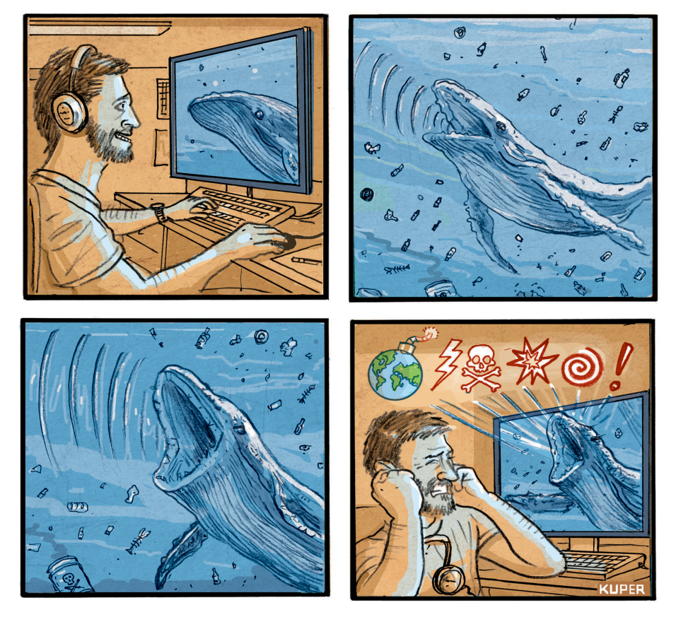What Whales Are Communicating