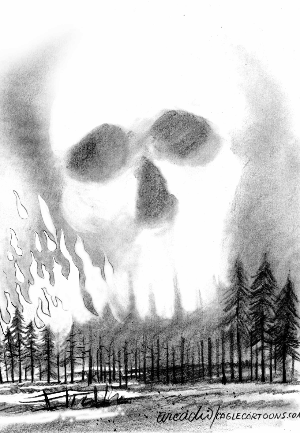 Fuegos en el bosque