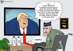 THE MEDAL OF FREEDOM by Bruce Plante