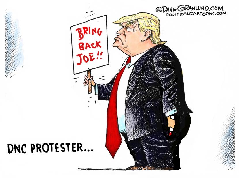DNC 2024 protester