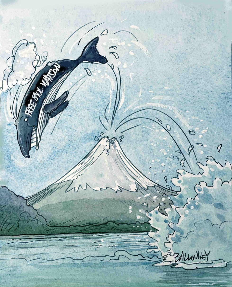 Free Paul Watson