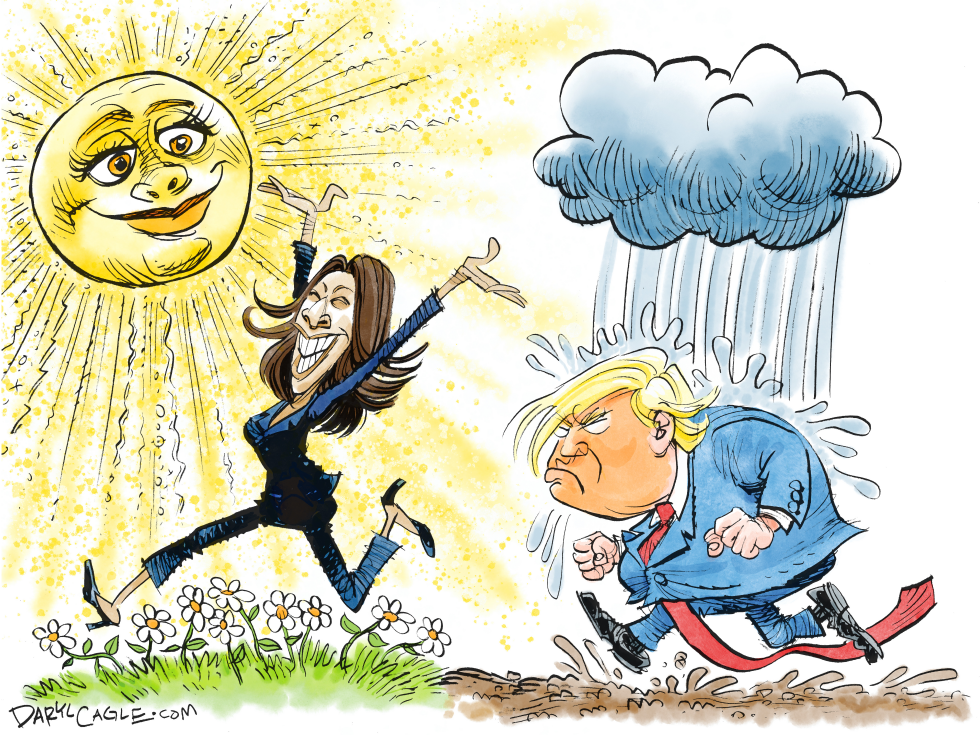 Kamala Harris - Joy Sunshine Flowers and Rain