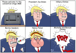 TRUMP REACTS TO DNC by Bruce Plante