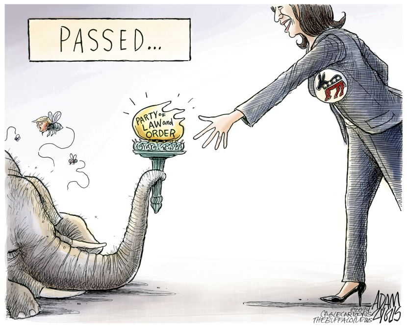The Torch