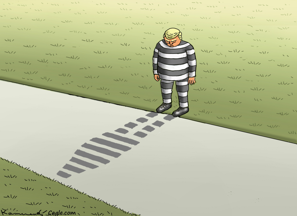 Felon Trump