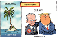 ASSORTED NUTS by Rick McKee