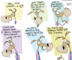 WHY PICK KAMALA by Gary McCoy