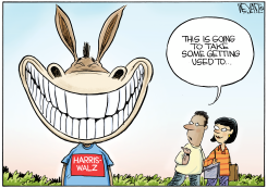 SMILING DEMOCRATIC DONKEY by Christopher Weyant