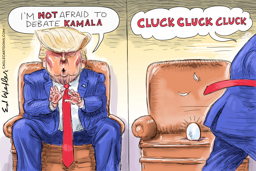 Trump Chicken Lays Egg