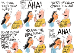 D.E.I. HIRE by Pat Bagley