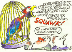 PARROT READS NEWSPAPER CAGE LINERS by Randall Enos