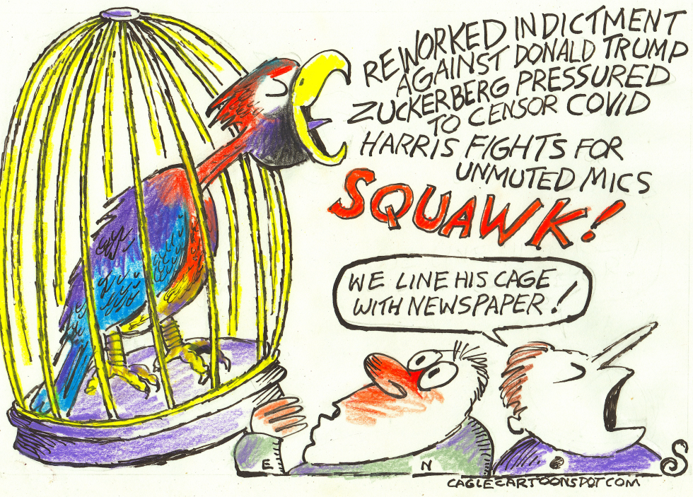 PARROT READS NEWSPAPER CAGE LINERS