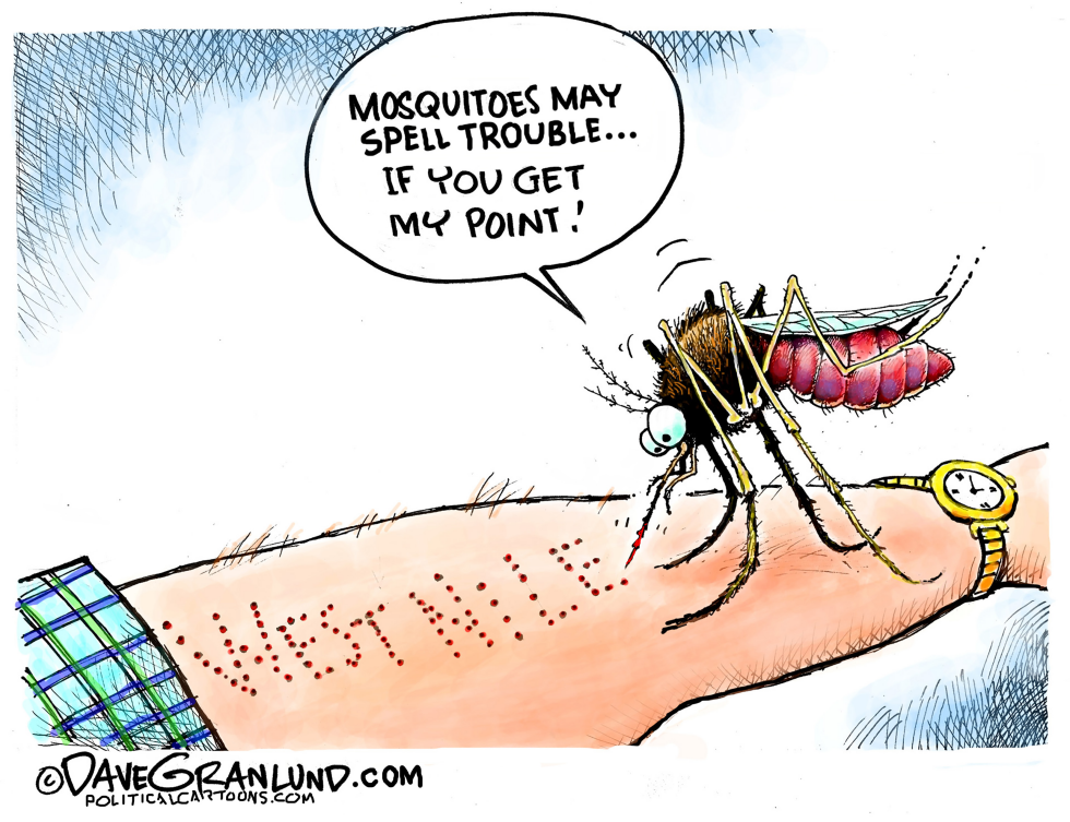 #3 MOSQUITOES AND WEST NILE by Dave Granlund