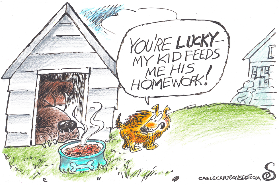 DOGS,DOG FOOD AND HOMEWORK