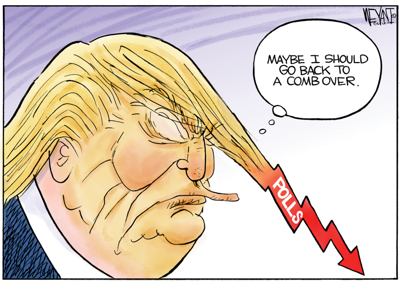 Trump Polls Drop