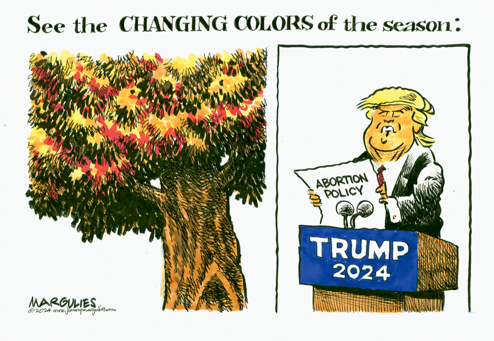 Trump Abortion Policy Changes