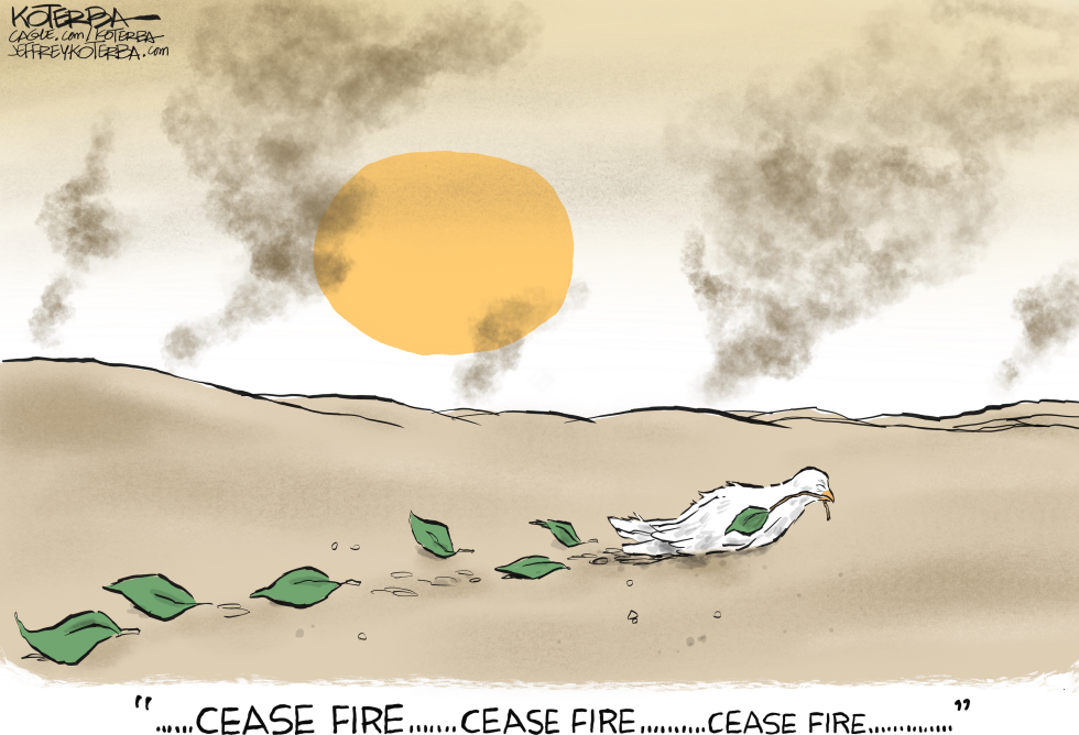 Dove of Peace Searching for Cease Fire