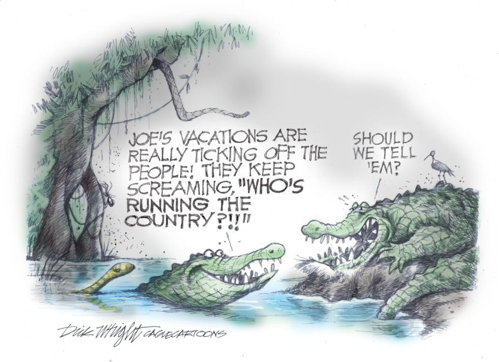 Alligators Run America while Biden is on Vacation