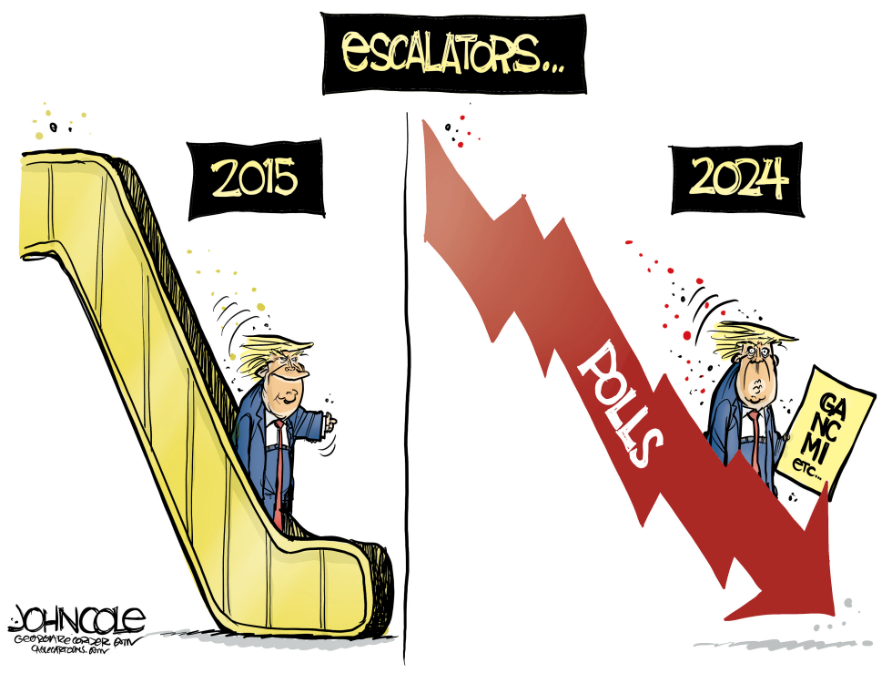 Trump down in polling