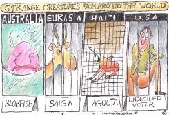 UNDECIDED VOTERS ARE STRANGE CREATURES by Randall Enos