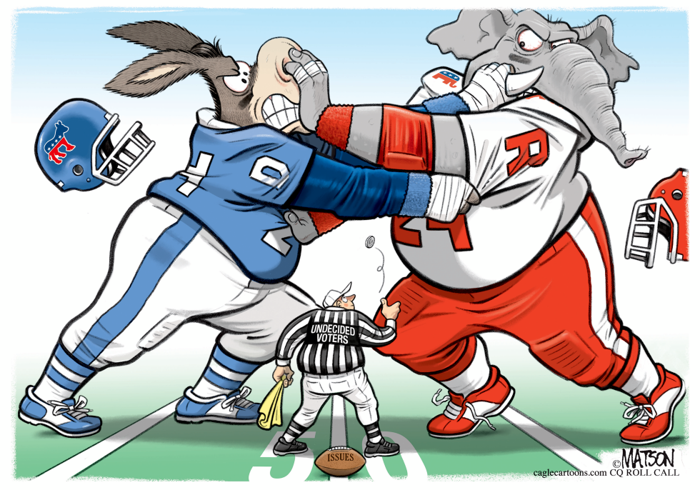 Undecided Voter Coin Toss