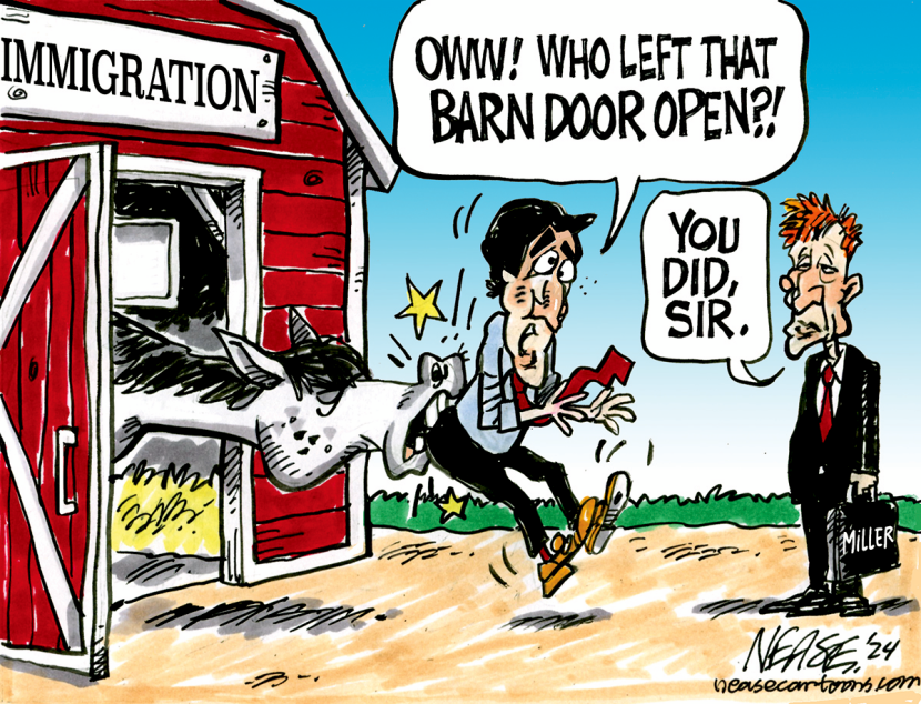Barn Door